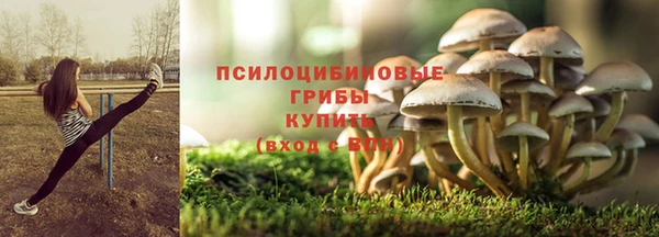прущие крисы Баксан
