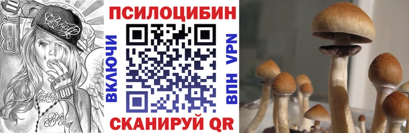 Псилоцибиновые грибы Magic Shrooms  KRAKEN tor  Каменка 